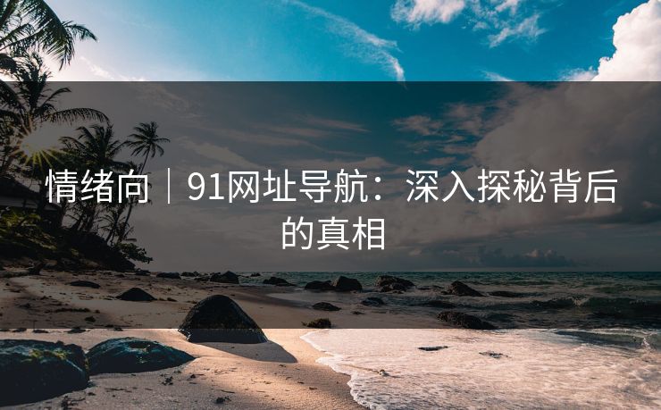 情绪向｜91网址导航：深入探秘背后的真相  第1张
